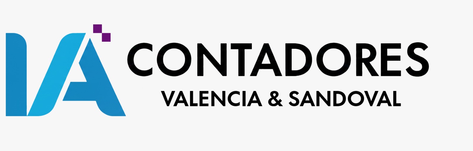 IA Contadores Valencia & Sandoval